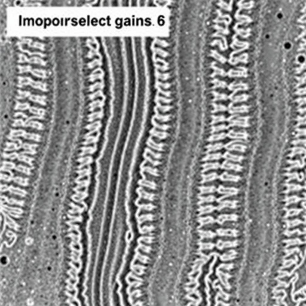 Etched cross-section showing improper grain flow in forging